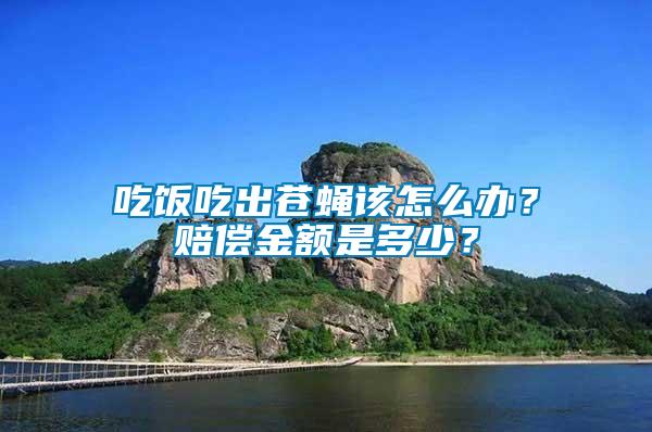 吃飯吃出蒼蠅該怎么辦？賠償金額是多少？