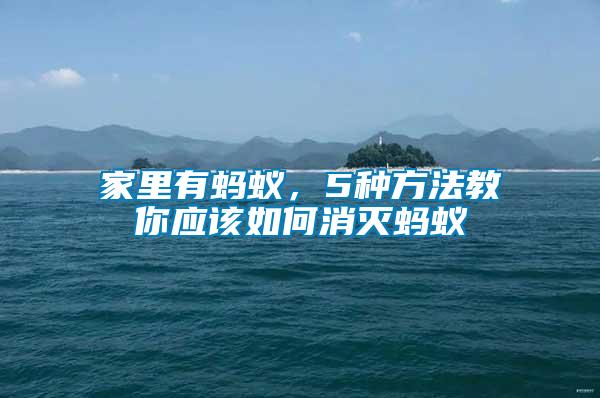 家里有螞蟻，5種方法教你應該如何消滅螞蟻