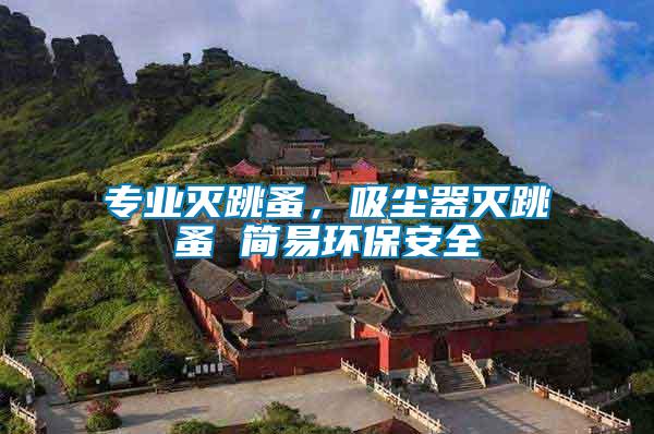 專業(yè)滅跳蚤，吸塵器滅跳蚤 簡(jiǎn)易環(huán)保安全