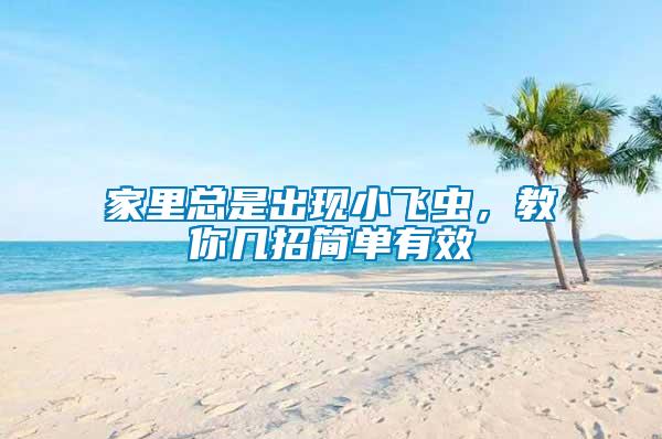 家里總是出現(xiàn)小飛蟲，教你幾招簡單有效