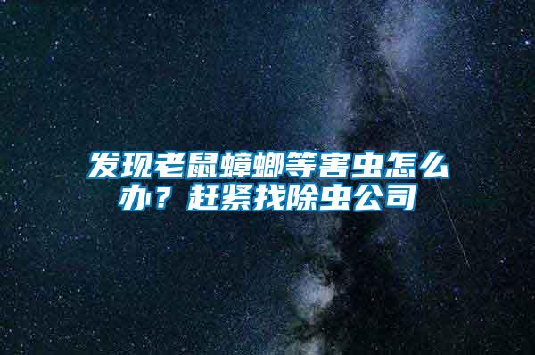 發(fā)現(xiàn)老鼠蟑螂等害蟲(chóng)怎么辦？趕緊找除蟲(chóng)公司