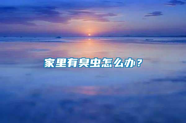家里有臭蟲怎么辦？