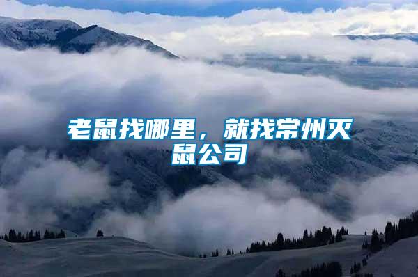 老鼠找哪里，就找常州滅鼠公司