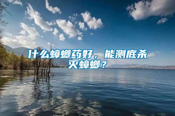 什么蟑螂藥好，能測底殺滅蟑螂？