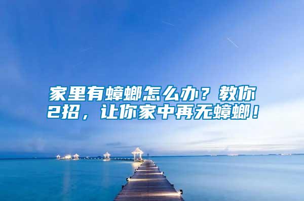 家里有蟑螂怎么辦？教你2招，讓你家中再無蟑螂！