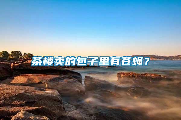 茶樓賣的包子里有蒼蠅？