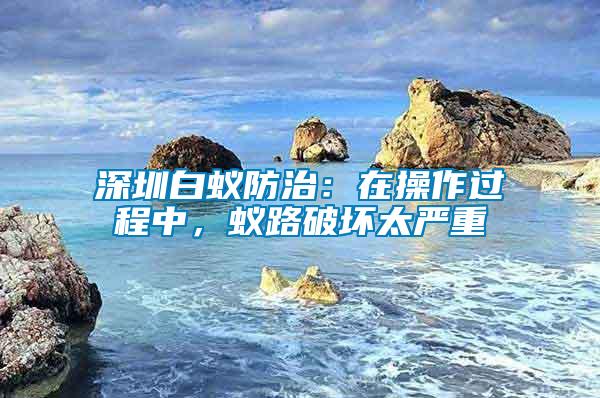 深圳白蟻防治：在操作過程中，蟻路破壞太嚴(yán)重
