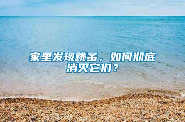 家里發(fā)現跳蚤，如何徹底消滅它們？