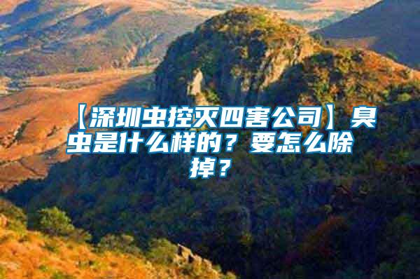 【深圳蟲(chóng)控滅四害公司】臭蟲(chóng)是什么樣的？要怎么除掉？
