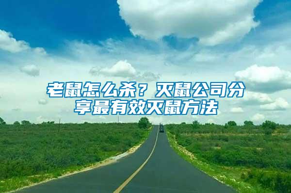 老鼠怎么殺？滅鼠公司分享最有效滅鼠方法