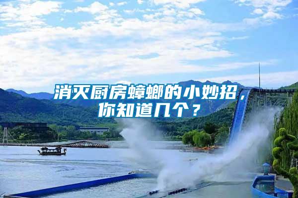 消滅廚房蟑螂的小妙招，你知道幾個(gè)？