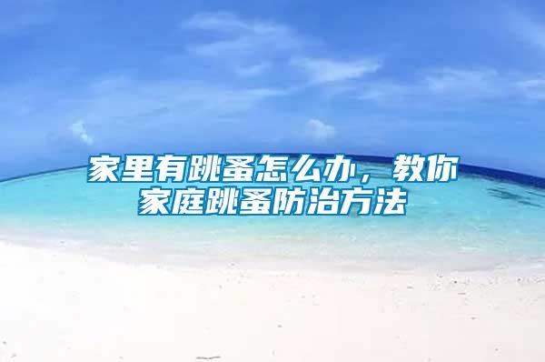 家里有跳蚤怎么辦，教你家庭跳蚤防治方法