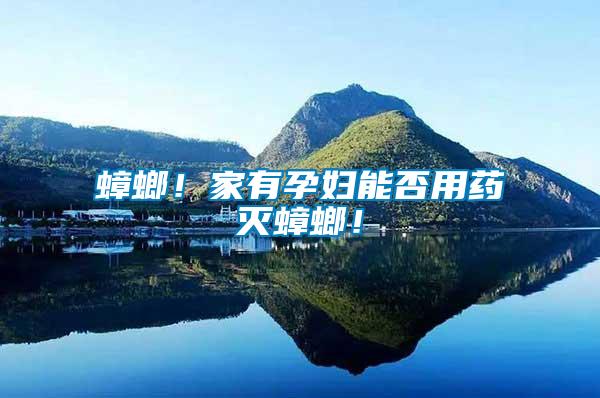 蟑螂！家有孕婦能否用藥滅蟑螂！