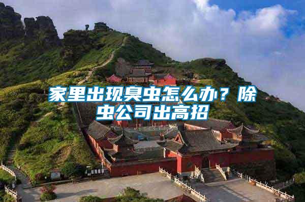 家里出現(xiàn)臭蟲怎么辦？除蟲公司出高招