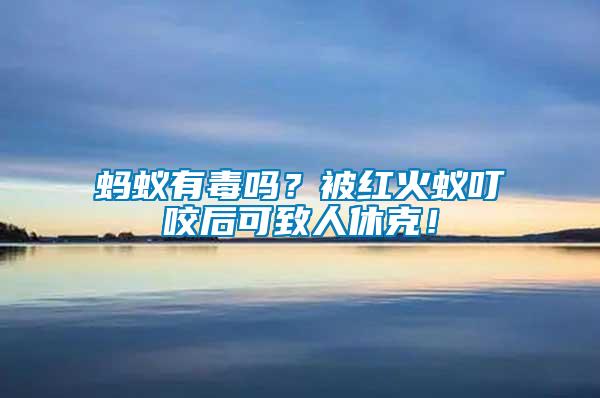 螞蟻有毒嗎？被紅火蟻叮咬后可致人休克！