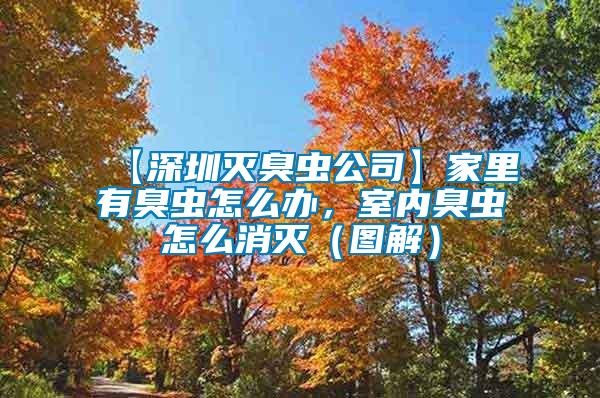 【深圳滅臭蟲公司】家里有臭蟲怎么辦，室內(nèi)臭蟲怎么消滅（圖解）