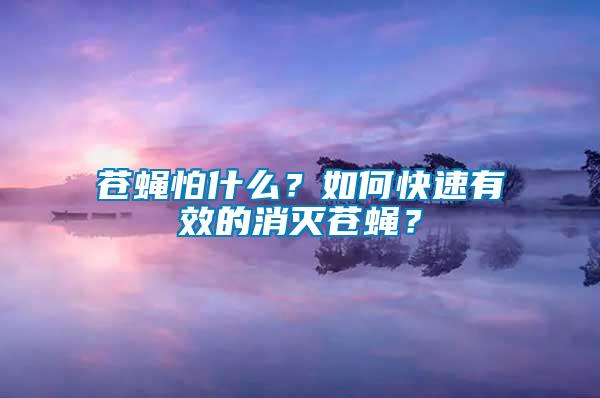 蒼蠅怕什么？如何快速有效的消滅蒼蠅？