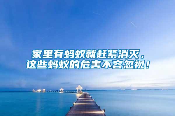 家里有螞蟻就趕緊消滅，這些螞蟻的危害不容忽視！