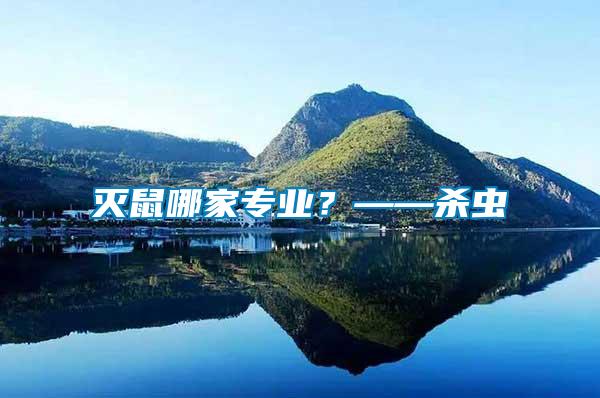 滅鼠哪家專業(yè)？——?dú)⑾x(chóng)