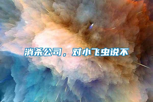 消殺公司，對(duì)小飛蟲說不