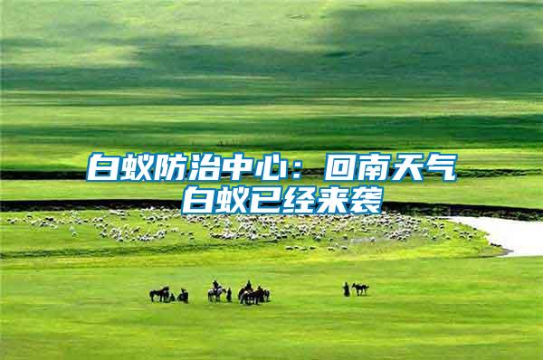 白蟻防治中心：回南天氣 白蟻已經(jīng)來襲