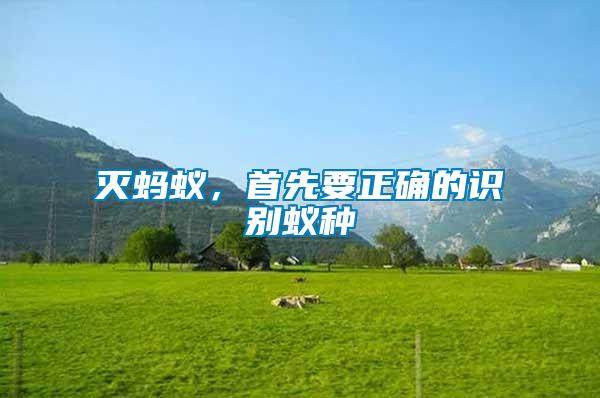 滅螞蟻，首先要正確的識(shí)別蟻種