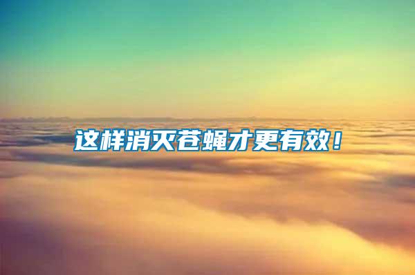 這樣消滅蒼蠅才更有效！