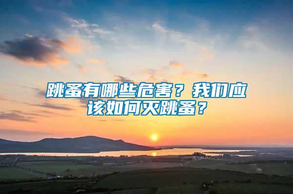 跳蚤有哪些危害？我們應(yīng)該如何滅跳蚤？