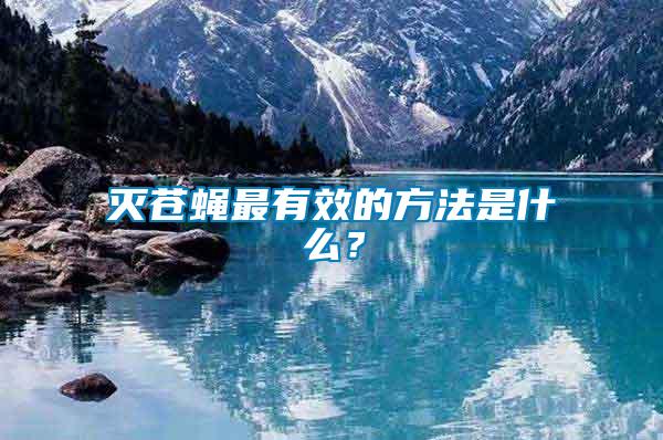 滅蒼蠅最有效的方法是什么？