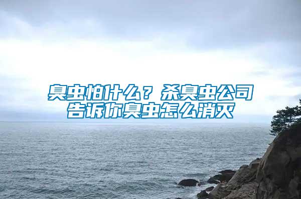 臭蟲怕什么？殺臭蟲公司告訴你臭蟲怎么消滅