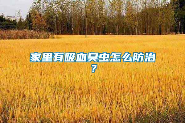 家里有吸血臭蟲怎么防治？