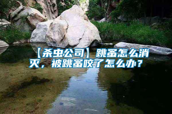 【殺蟲公司】跳蚤怎么消滅，被跳蚤咬了怎么辦？