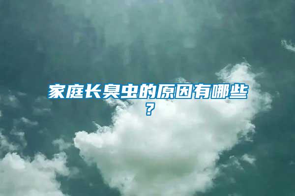 家庭長臭蟲的原因有哪些？