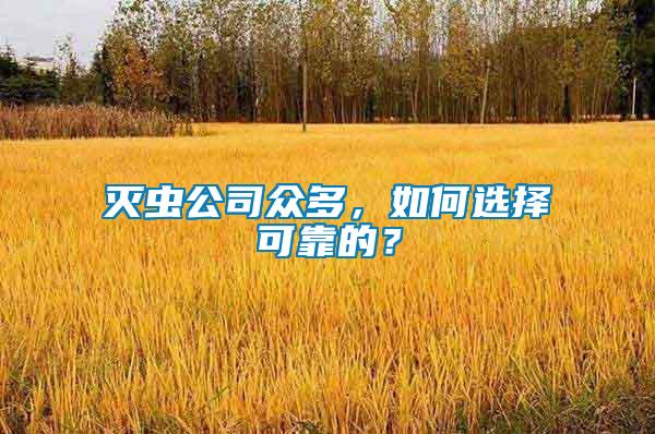 滅蟲(chóng)公司眾多，如何選擇可靠的？