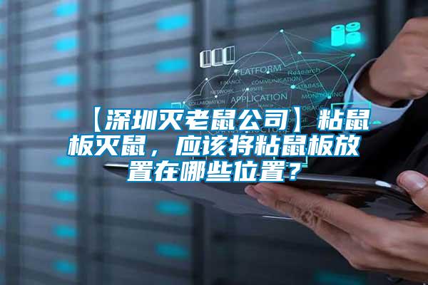 【深圳滅老鼠公司】粘鼠板滅鼠，應(yīng)該將粘鼠板放置在哪些位置？
