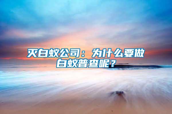 滅白蟻公司：為什么要做白蟻普查呢？