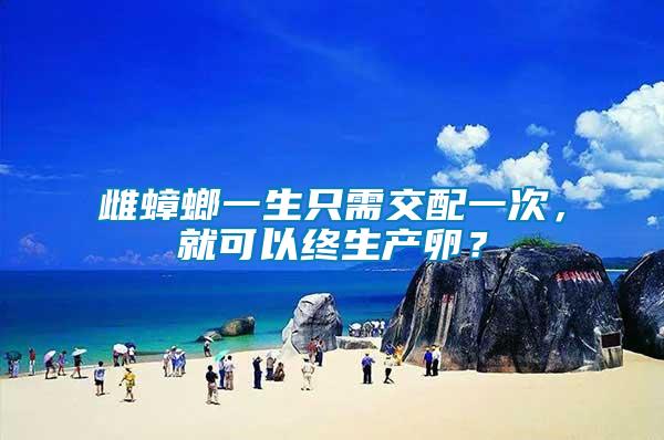 雌蟑螂一生只需交配一次，就可以終生產(chǎn)卵？