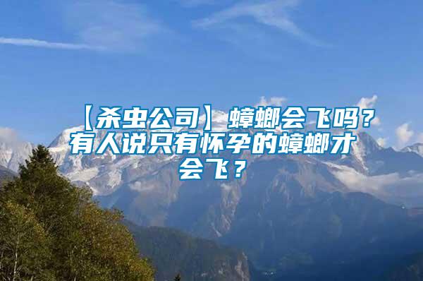 【殺蟲公司】蟑螂會(huì)飛嗎？有人說只有懷孕的蟑螂才會(huì)飛？