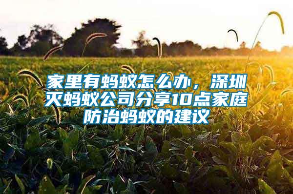 家里有螞蟻怎么辦，深圳滅螞蟻公司分享10點(diǎn)家庭防治螞蟻的建議