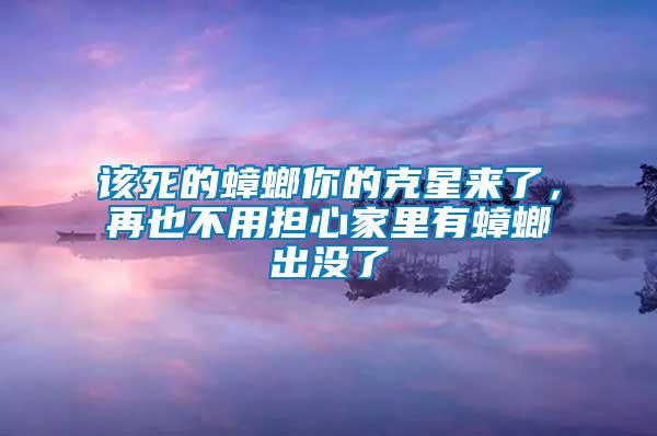 該死的蟑螂你的克星來了，再也不用擔(dān)心家里有蟑螂出沒了
