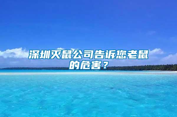 深圳滅鼠公司告訴您老鼠的危害？