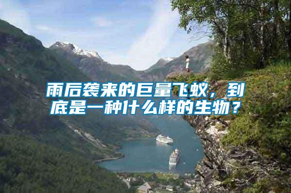 雨后襲來的巨量飛蟻，到底是一種什么樣的生物？