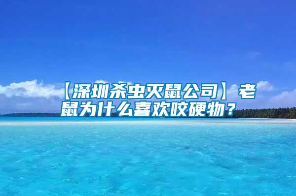 【深圳殺蟲滅鼠公司】老鼠為什么喜歡咬硬物？