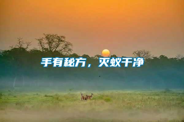 手有秘方，滅蟻干凈