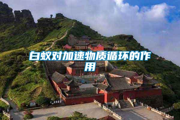白蟻對加速物質(zhì)循環(huán)的作用
