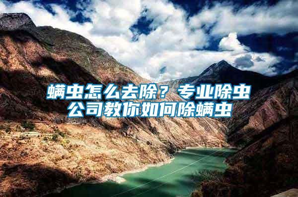 螨蟲(chóng)怎么去除？專業(yè)除蟲(chóng)公司教你如何除螨蟲(chóng)
