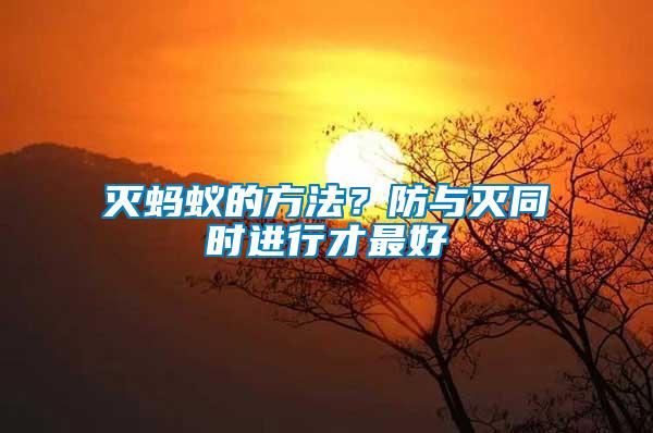 滅螞蟻的方法？防與滅同時進行才最好
