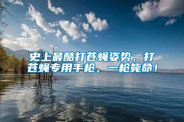 史上最酷打蒼蠅姿勢，打蒼蠅專用手槍，一槍斃命！