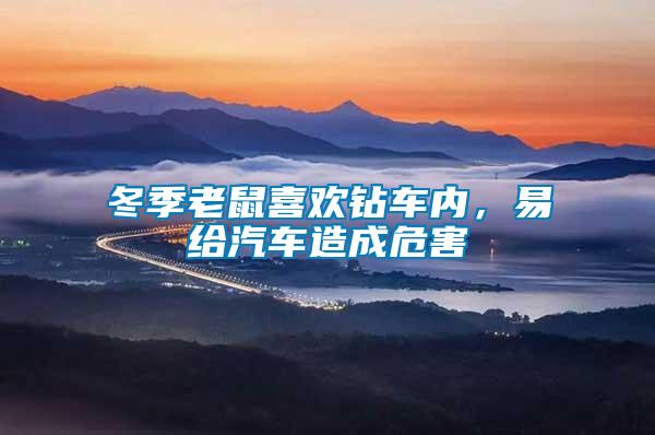 冬季老鼠喜歡鉆車(chē)內(nèi)，易給汽車(chē)造成危害