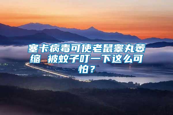 塞卡病毒可使老鼠睪丸萎縮 被蚊子叮一下這么可怕？